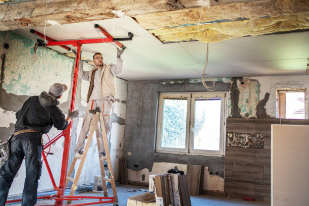 Best Insulation Installation Services in Oak Leaf, TX