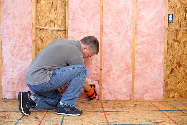 Best Insulation Maintenance and Repair in Oak Leaf, TX
